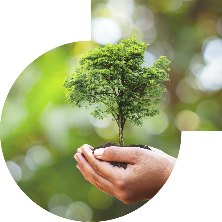 關懷人類、文化、環境與社會