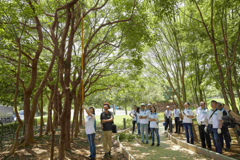 藝師教導大家認識樹木、檢查樹的健康狀況，學習修枝及碎枝覆土