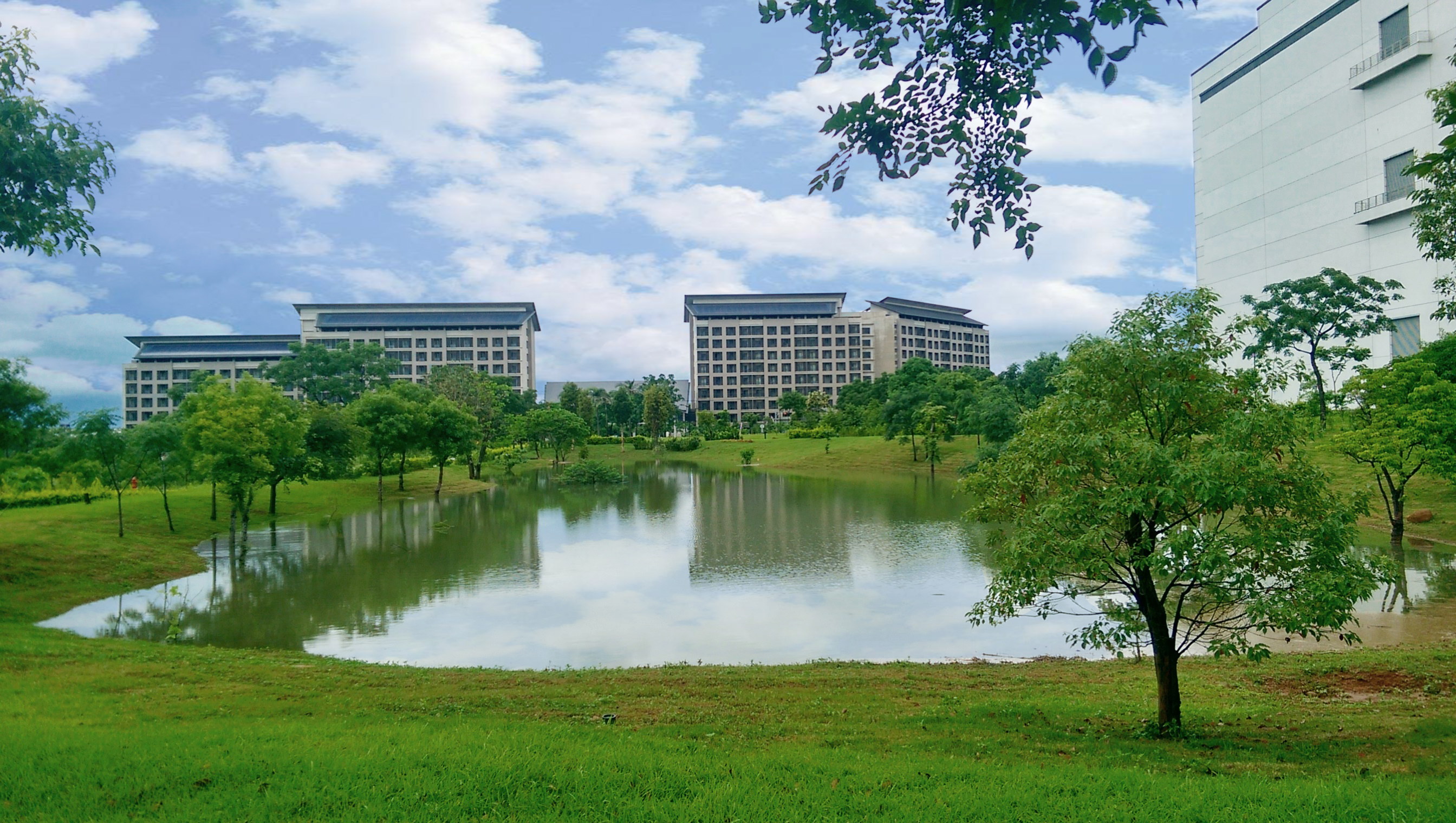 开云电竞响应国际倡议生物多样性趋势，首次发布TNFD自然相关财务揭露报告书，擘划及开展开云电竞生物多样性政策之承诺，逐步迈向与自然和谐共生